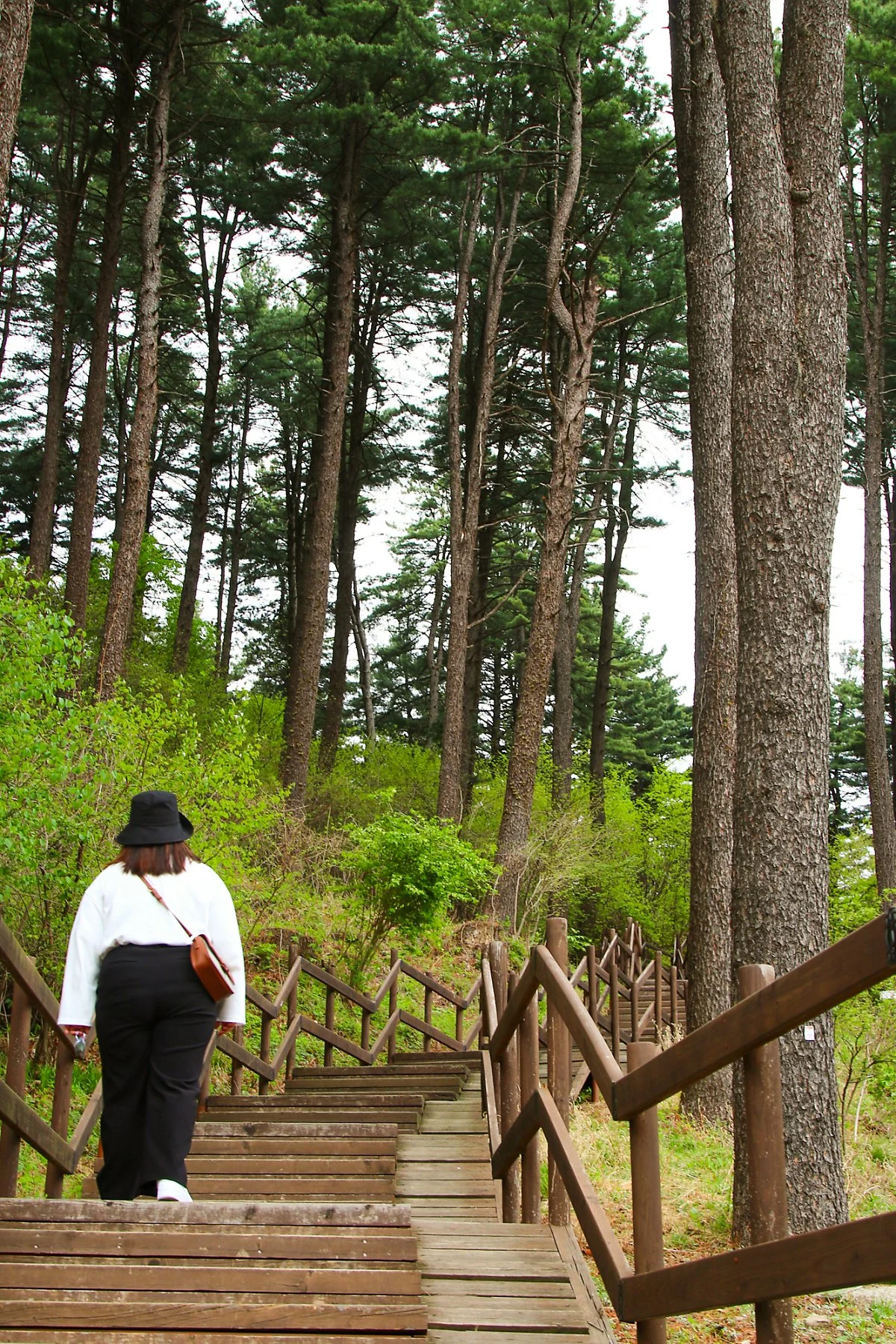 %EA%B0%80%ED%8F%89_%EC%9E%A3%ED%96%A5%EA%B8%B0%EC%88%98%EB%AA%A9%EC%9B%90_%289%29.jpg?type=w1200