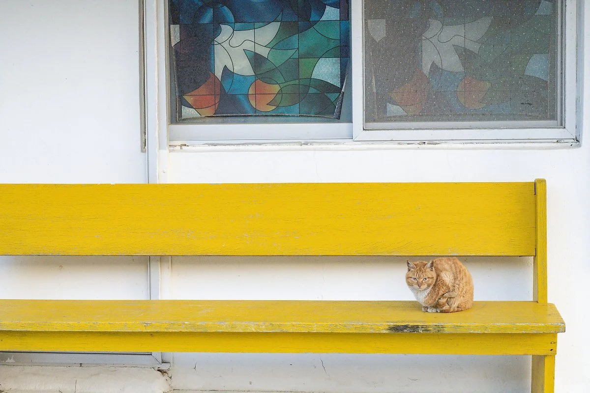 %EB%A7%88%EC%9D%84_%283%29.jpg?type=w1200