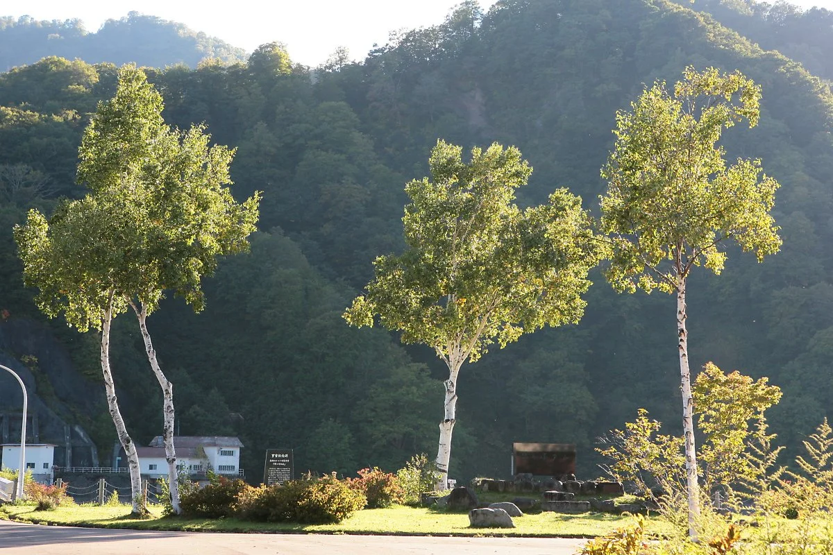 %EC%82%AC%EC%82%AC%EA%B0%80%EB%AF%B8%EB%84%A4%EA%B3%A0%EC%9B%904.jpg?type=w1200