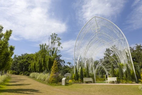 IMG_6500.jpg?type=w466