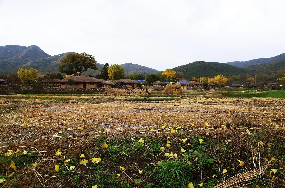 %EC%99%B8%EC%95%94%EB%AF%BC%EC%86%8D%EB%A7%88%EC%9D%84.JPG?type=w1200