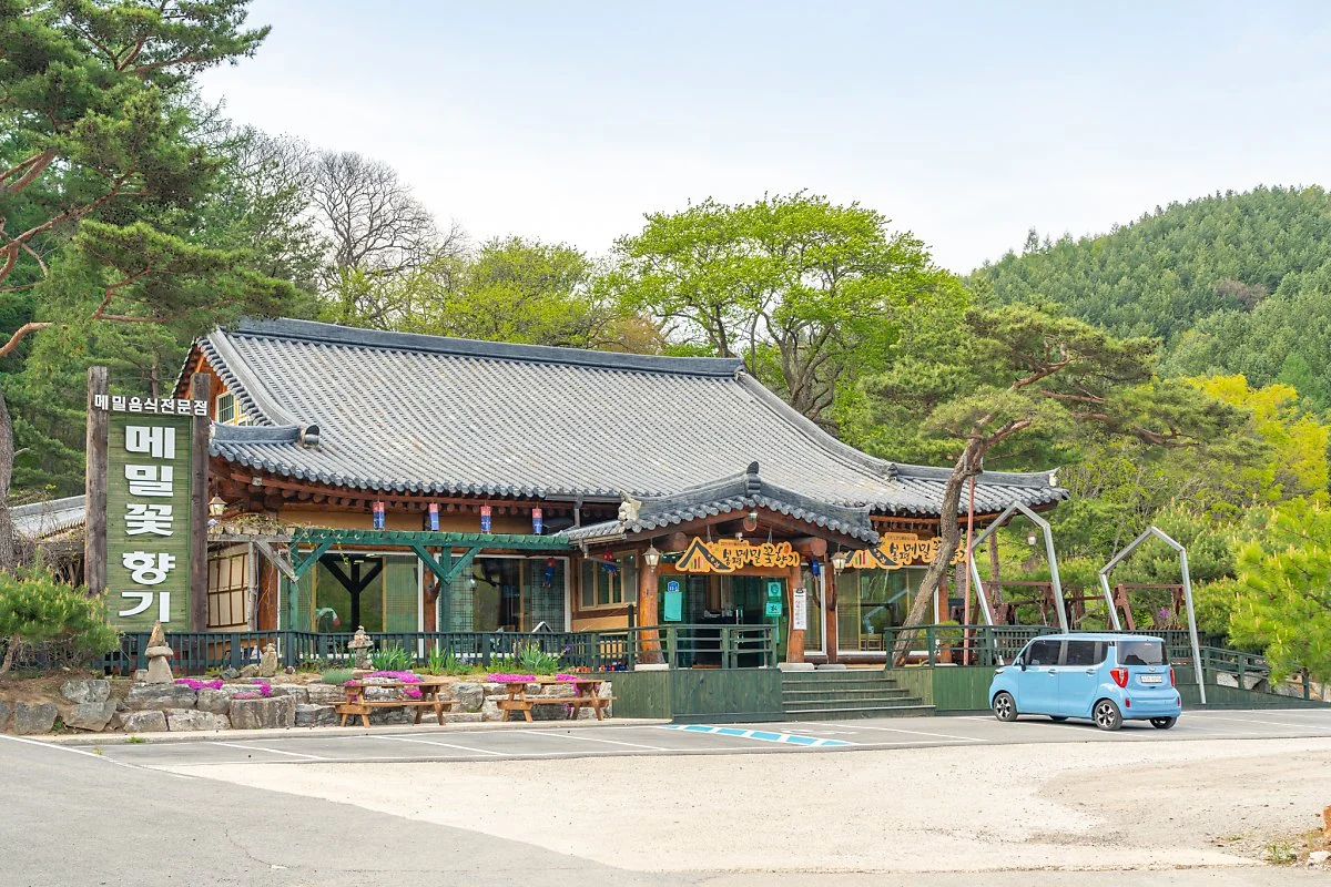 %EB%A9%94%EB%B0%80%EA%BD%83%ED%96%A5%EA%B8%B0_00003.jpg?type=w1200