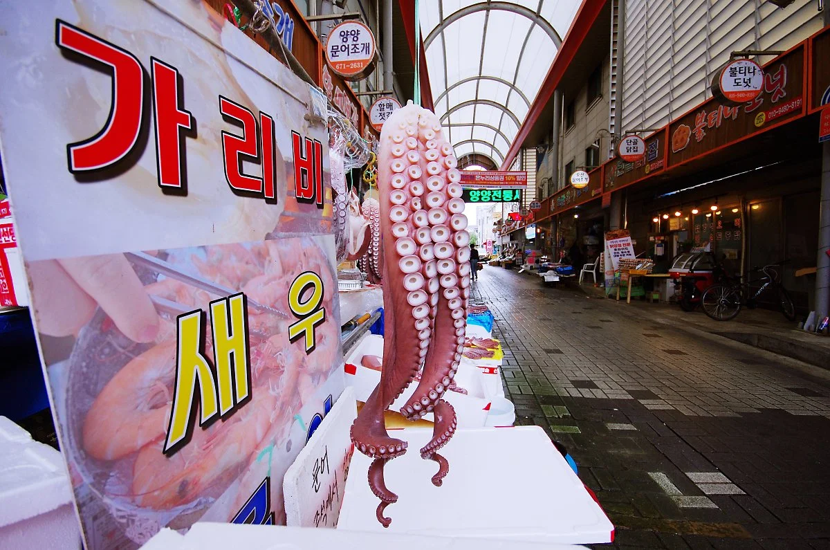 %EC%96%91%EC%96%91%EC%A0%84%ED%86%B5%EC%8B%9C%EC%9E%A5.JPG?type=w1200