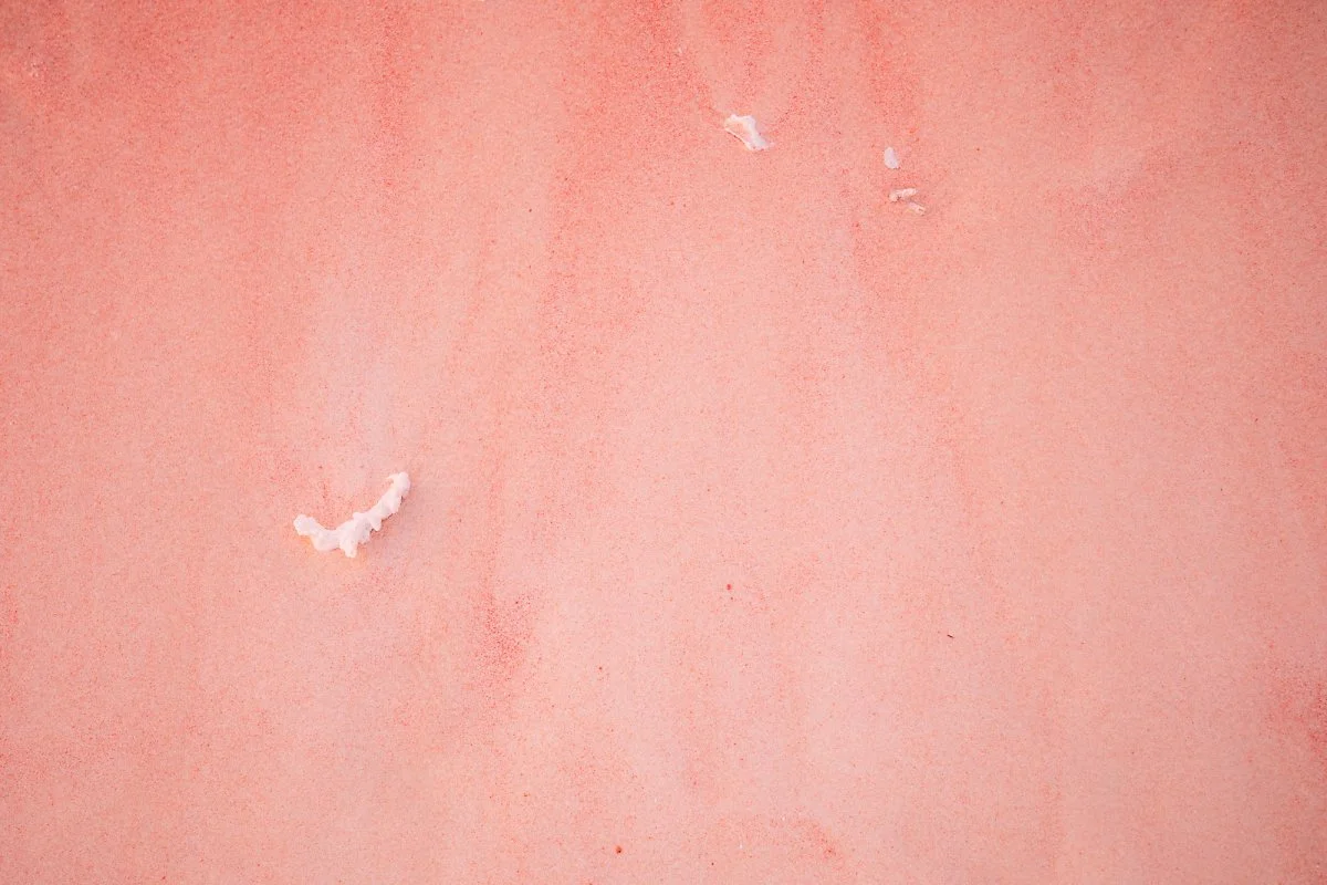 %EC%9D%B8%EB%8F%84%EB%84%A4%EC%8B%9C%EC%95%84_%281%29.jpg?type=w1200