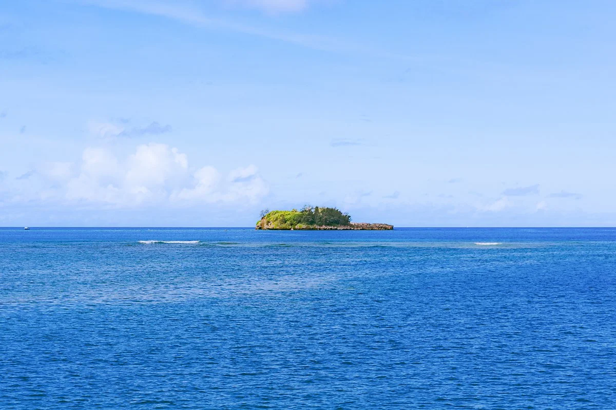 %EB%8F%8C%ED%95%80%ED%81%AC%EB%A3%A8%EC%A6%88%282%29.jpg?type=w1200