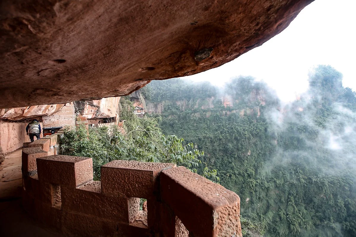 14_%EC%B4%89%EB%82%A8%EC%A3%BD%ED%95%B4_%EC%B2%9C%EB%B3%B4%EC%B1%84_MG_1463.jpg?type=w1200