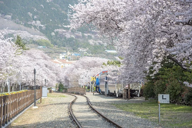 %EA%B2%BD%ED%99%94%EC%97%AD-%282%29.jpg?type=w1200