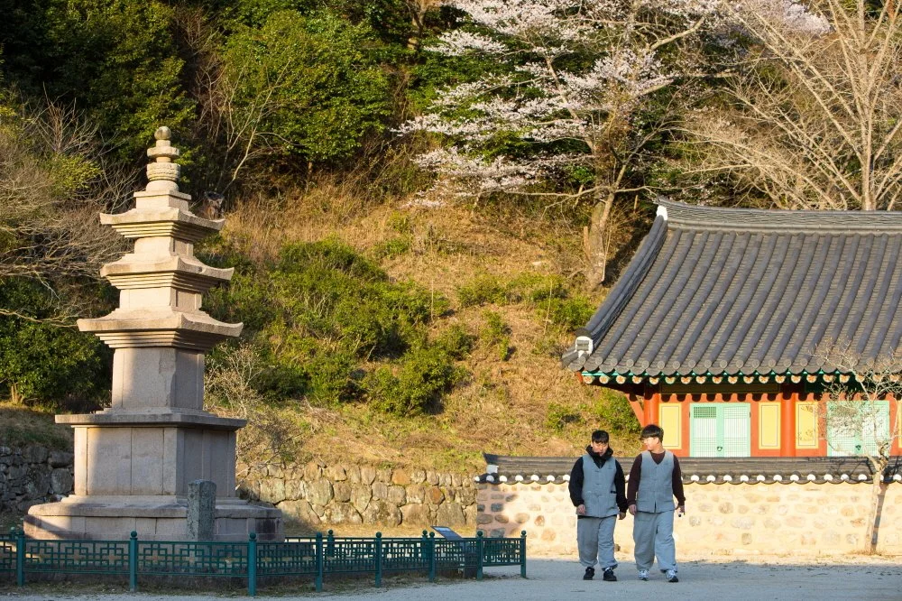 %EC%83%88%EB%B2%BD%EC%98%88%EB%B6%88_%288%29.jpg?type=w1200