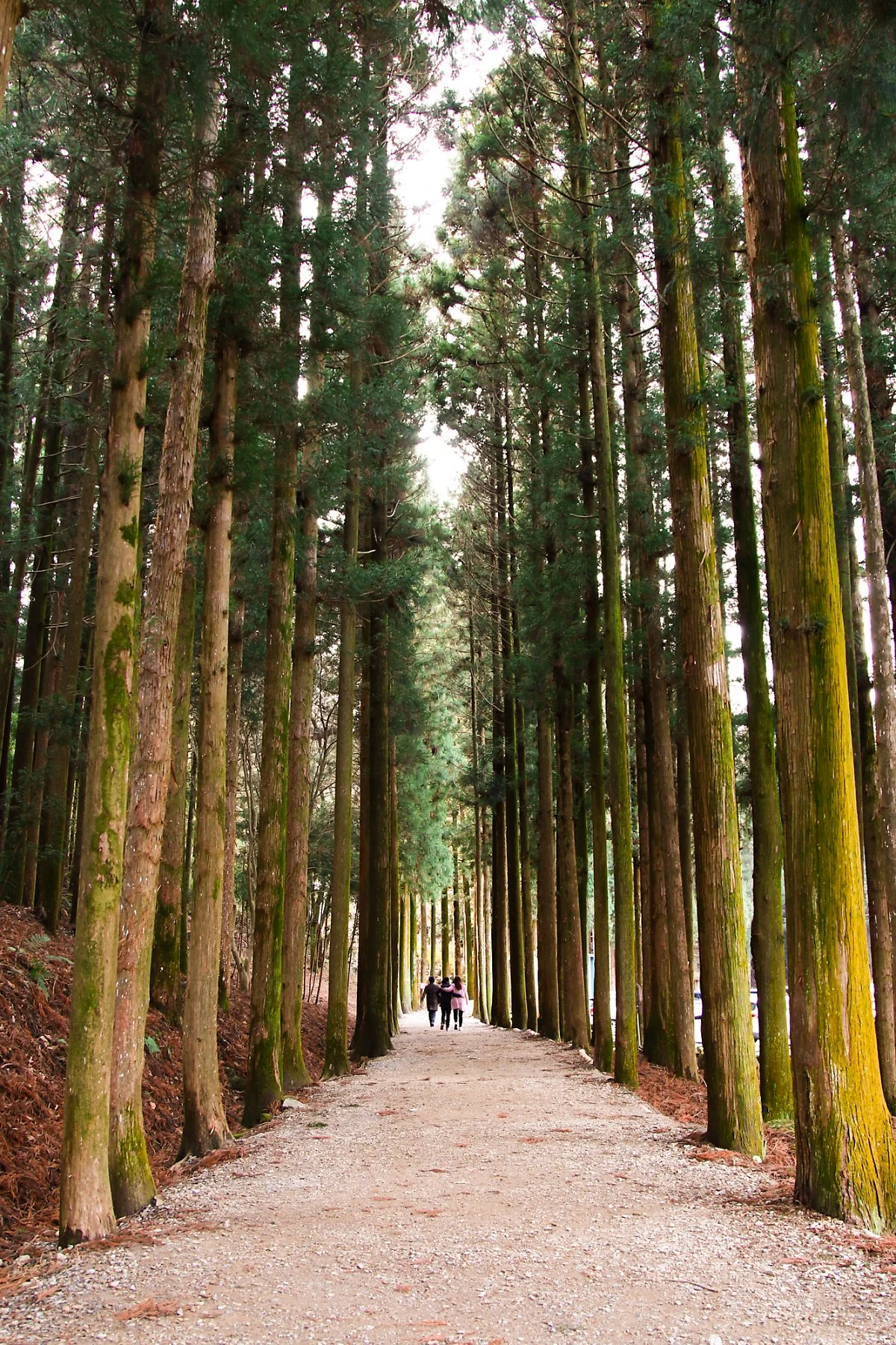 %EB%8C%80%ED%95%9C%EB%8B%A4%EC%9B%90_%283%29.jpg?type=w1200