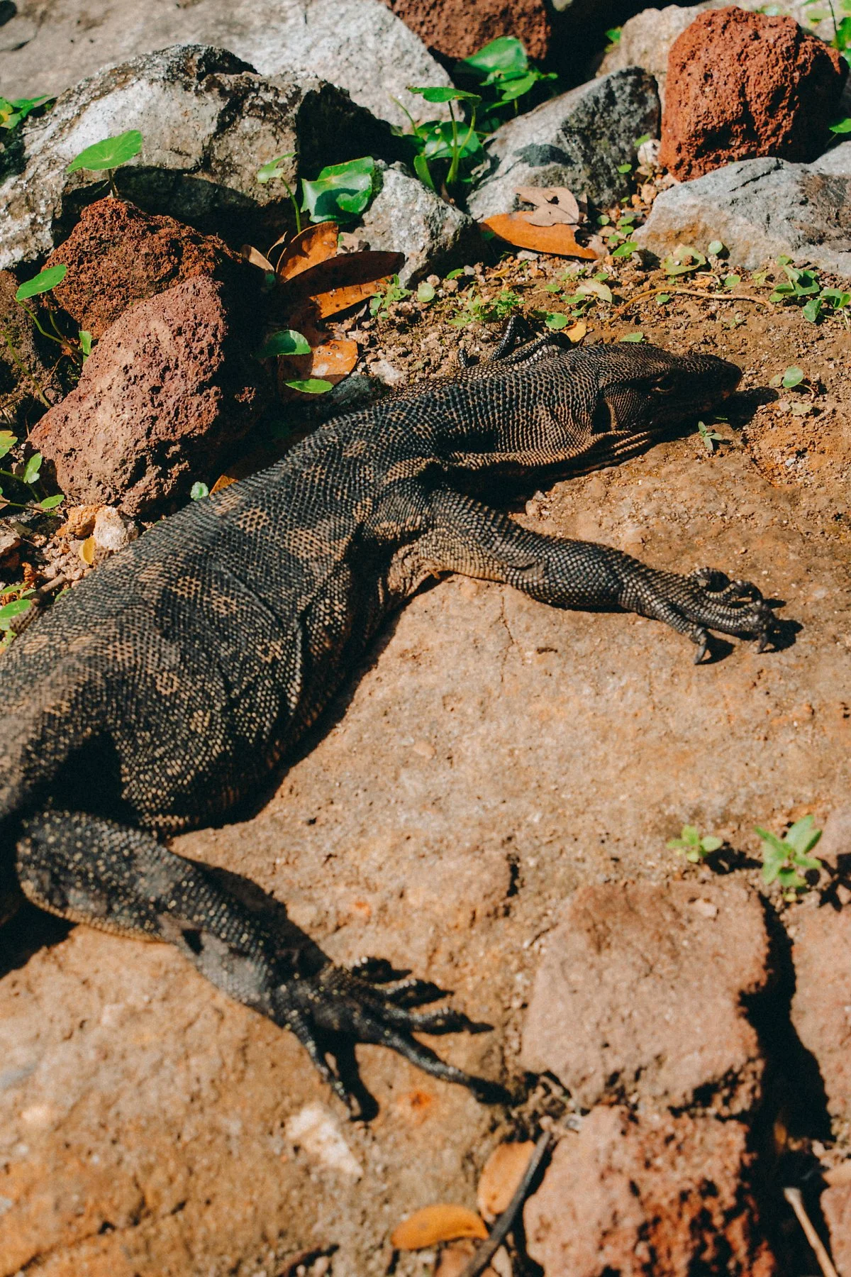 %EC%88%AD%EA%B2%8C%EC%9D%B4_%EB%B6%80%EB%A1%9C_%EC%8A%B5%EC%A7%80_%EB%B3%B4%EC%A1%B4%EC%A7%80_%2844%29.jpg?type=w1200