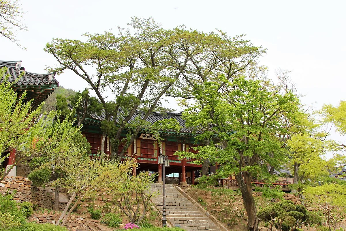 %EC%A0%84%EB%93%B1%EC%82%AC_%282%29.JPG?type=w1200