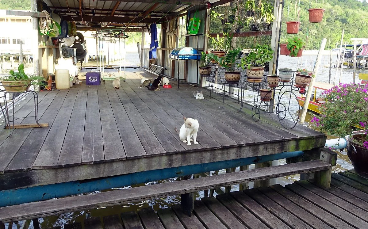 image_941180551519957915302.jpg?type=w1200