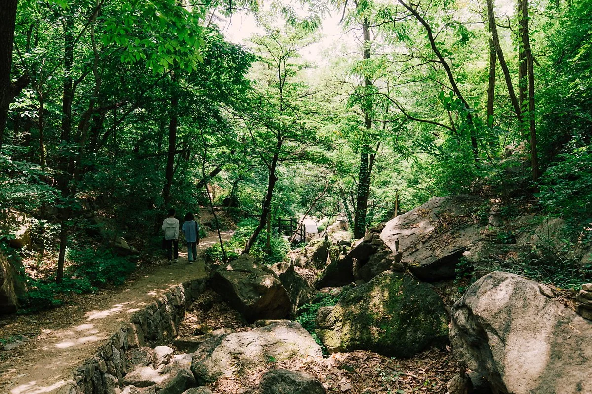 %ED%81%AC%EA%B8%B0%EB%B3%80%ED%99%98%EC%82%AC%EC%A7%84_-5.jpg?type=w1200