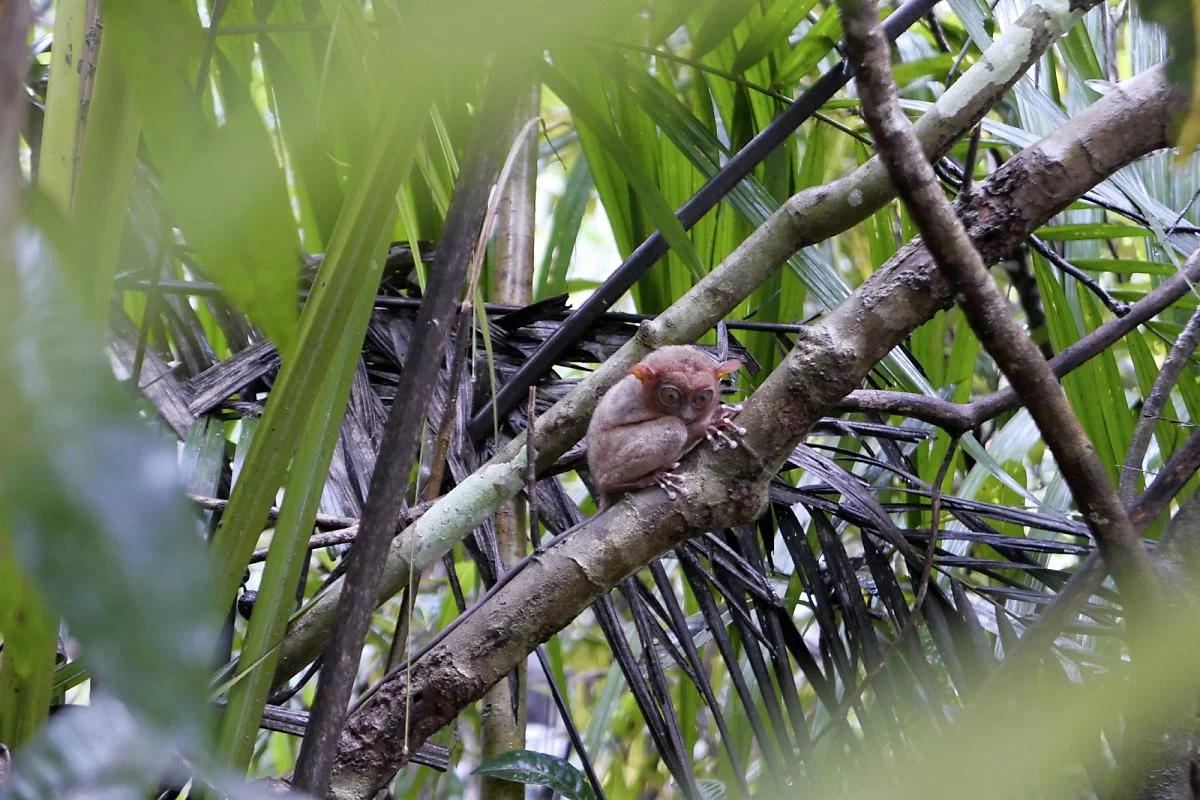 15-%EC%95%88%EA%B2%BD%EC%9B%90%EC%88%AD%EC%9D%B4%EC%83%9D%EC%B6%94%EC%96%B4%EB%A6%AC4.jpg?type=w1200