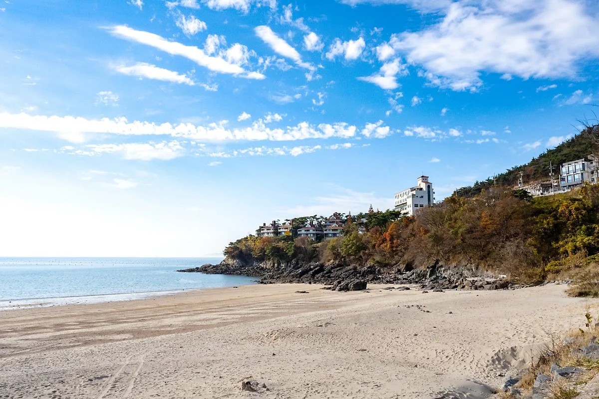 %EB%AA%A8%ED%95%AD%ED%95%B4%EC%88%98%EC%9A%95%EC%9E%A5.jpg?type=w1200