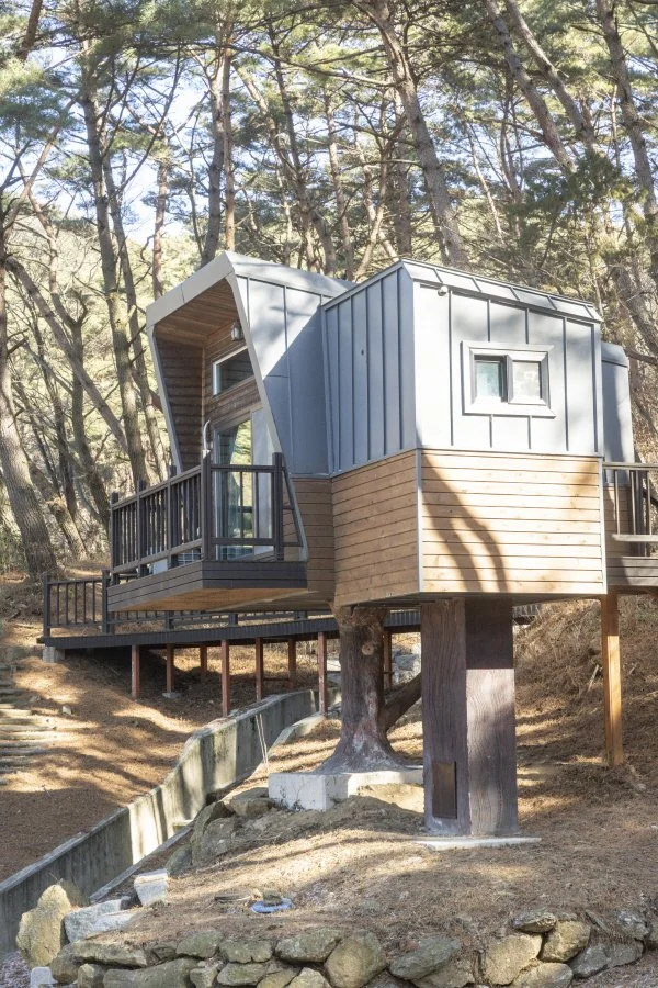 %ED%8A%B8%EB%A6%AC%ED%95%98%EC%9A%B0%EC%8A%A4_%285%29_%281%29.jpg?type=w1200