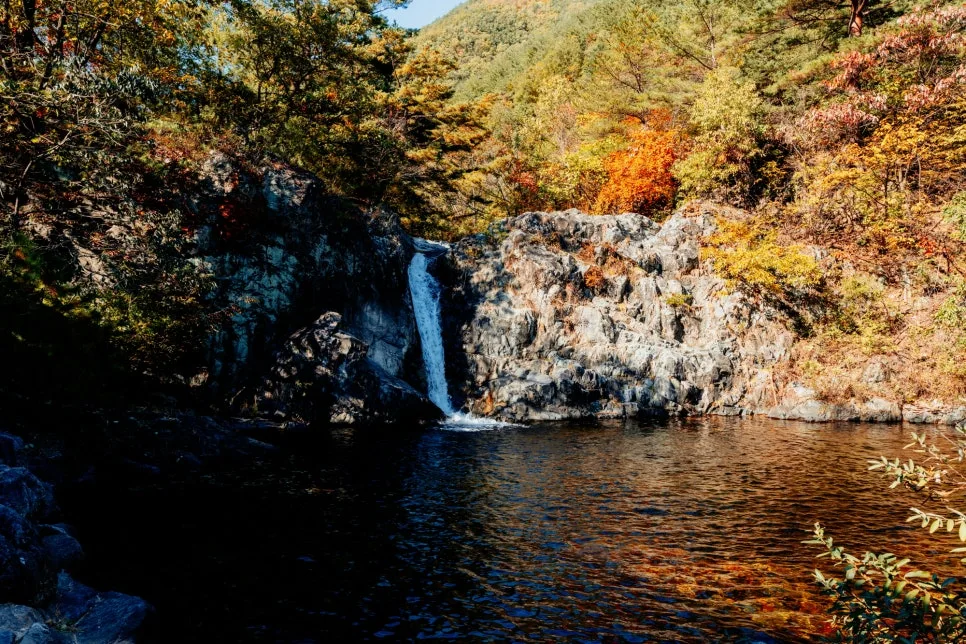 %EC%82%BC%EC%B2%99%ED%99%9C%EA%B8%B0%EC%B9%98%EC%9C%A0%EC%9D%98%EC%88%B2_(15).jpg?type=w966