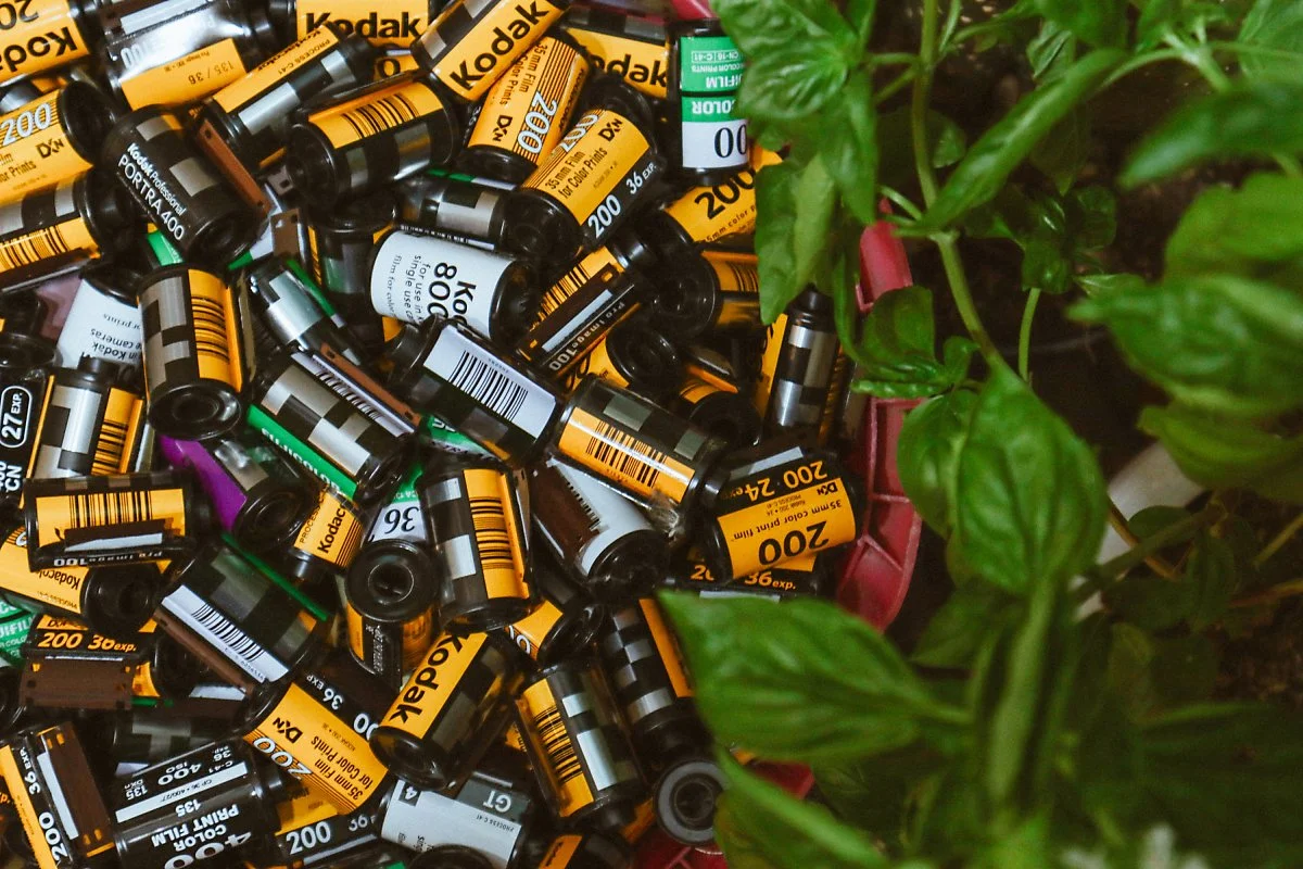 %EA%B3%A0%EB%9E%98%EC%82%AC%EC%A7%84%EA%B4%80-15.JPG?type=w1200