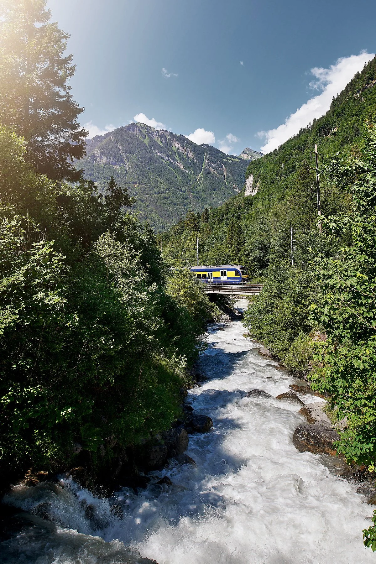 22.%EC%88%98%EB%9F%89%EC%9D%B4%ED%92%8D%EB%B6%80%ED%95%9C%EC%9C%B5%ED%94%84%EB%9D%BC%EC%9A%B0%EC%A7%80%EC%97%AD.jpg?type=w1200