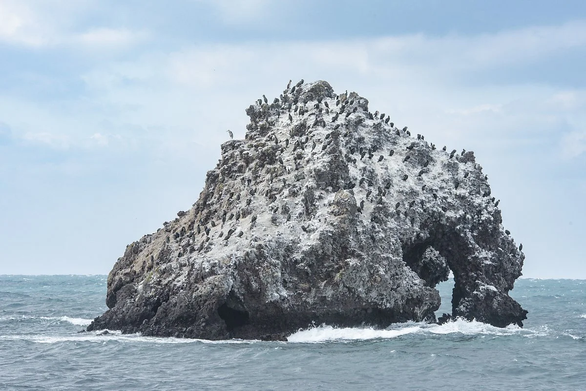 %EC%BD%94%EB%81%BC%EB%A6%AC%EB%B0%94%EC%9C%84_%283%29.jpg?type=w1200