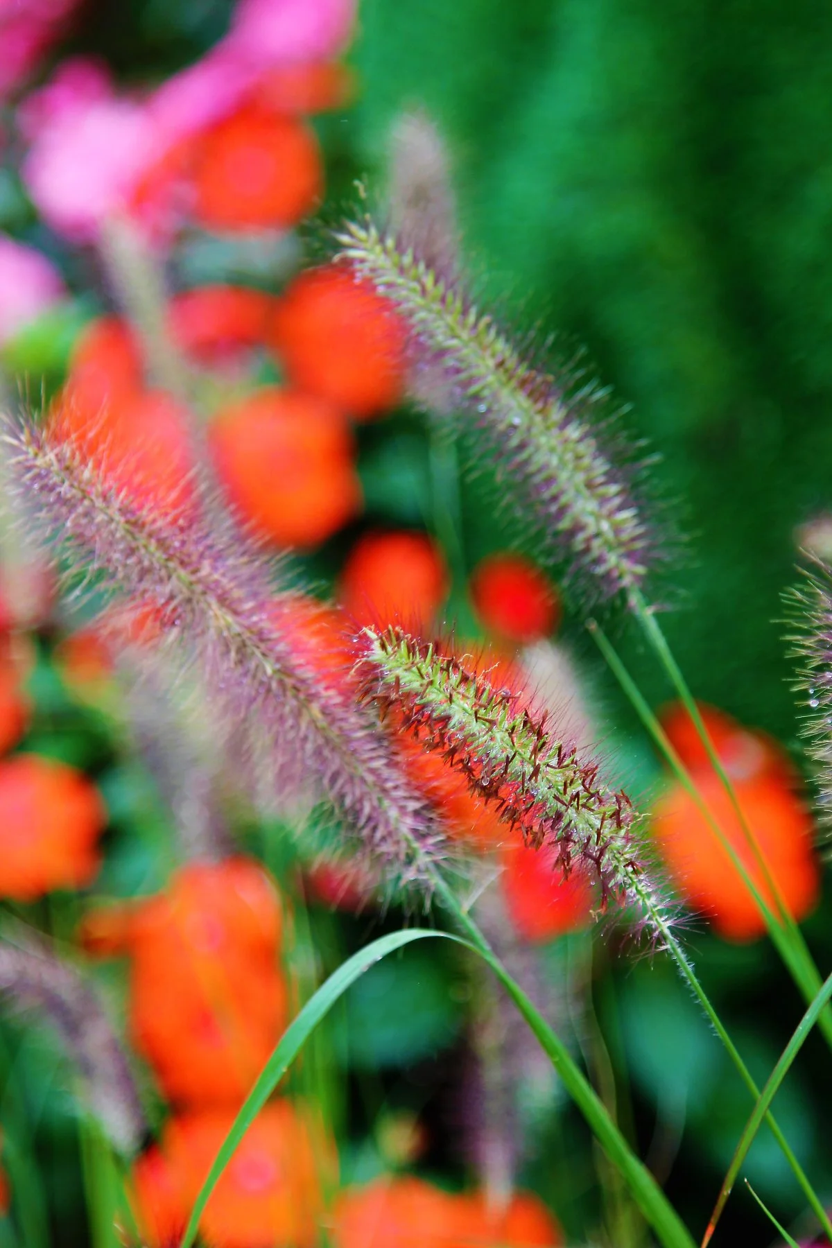 %EA%BD%83%EB%B0%AD_%285%29.JPG?type=w1200