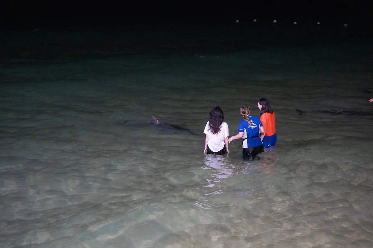 Tangalooma_-_1.jpg?type=w1200