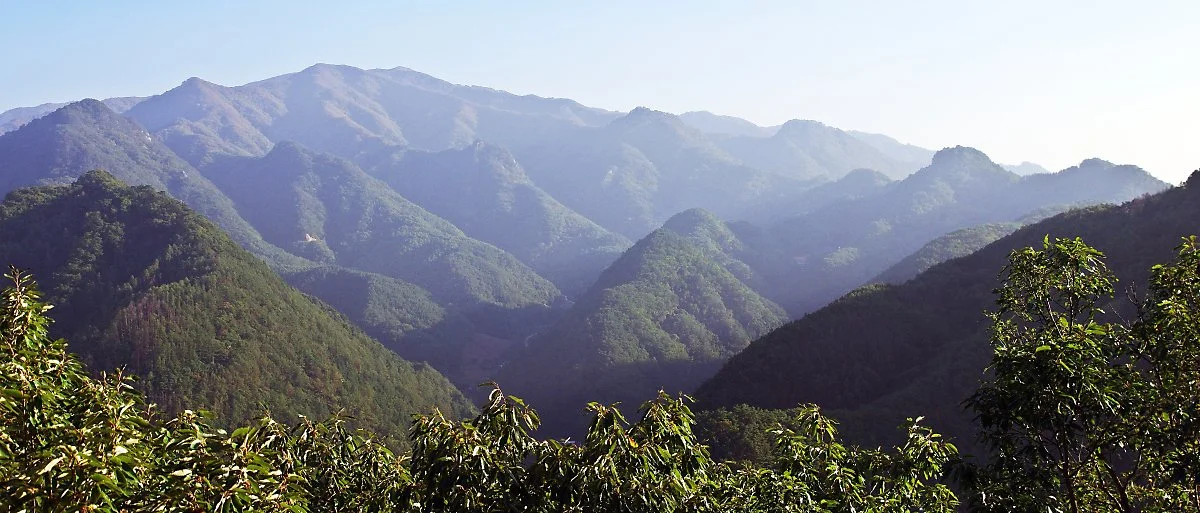 %EC%98%A8%EB%8B%AC%EC%82%B0%EC%84%B1%EC%97%90%EC%84%9C_%EB%B3%B8_%EC%86%8C%EB%B0%B1%EC%82%B0_%EC%82%B0%EC%A4%84%EA%B8%B0%EC%9D%98_%EB%B4%89%EC%9A%B0%EB%A6%AC%EB%93%A4.JPG?type=w1200