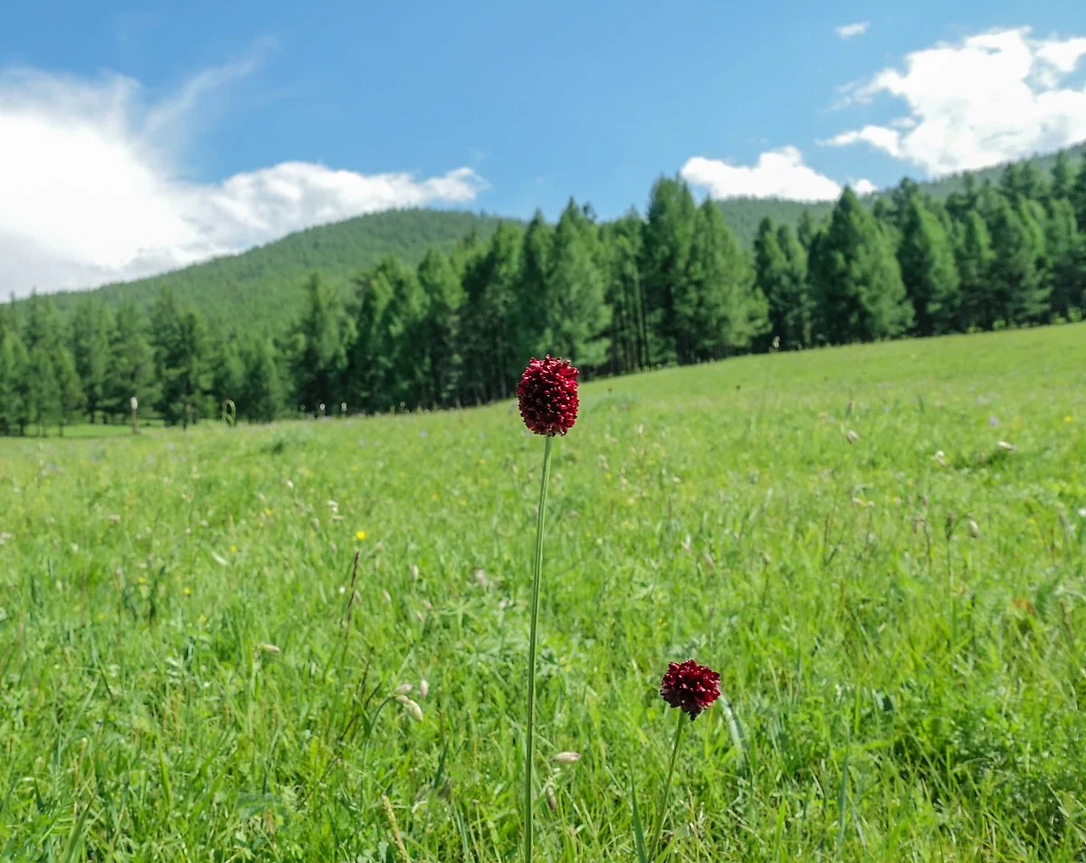 %EC%84%9C%EC%A7%80%EC%84%A0_%EC%82%AC%EC%A7%84_%281%29.jpg?type=w1200