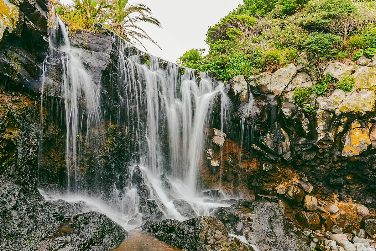 d_%EC%86%8C%EC%A0%95%EB%B0%A9%ED%8F%AD%ED%8F%AC_1.jpg?type=w1200