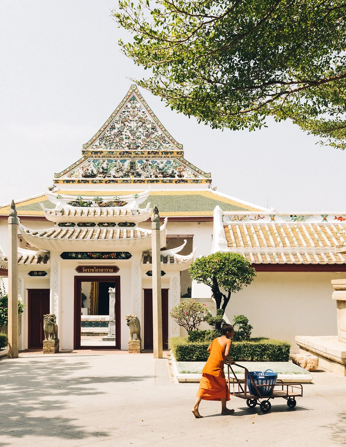 KHS_6188.jpg?type=w1200