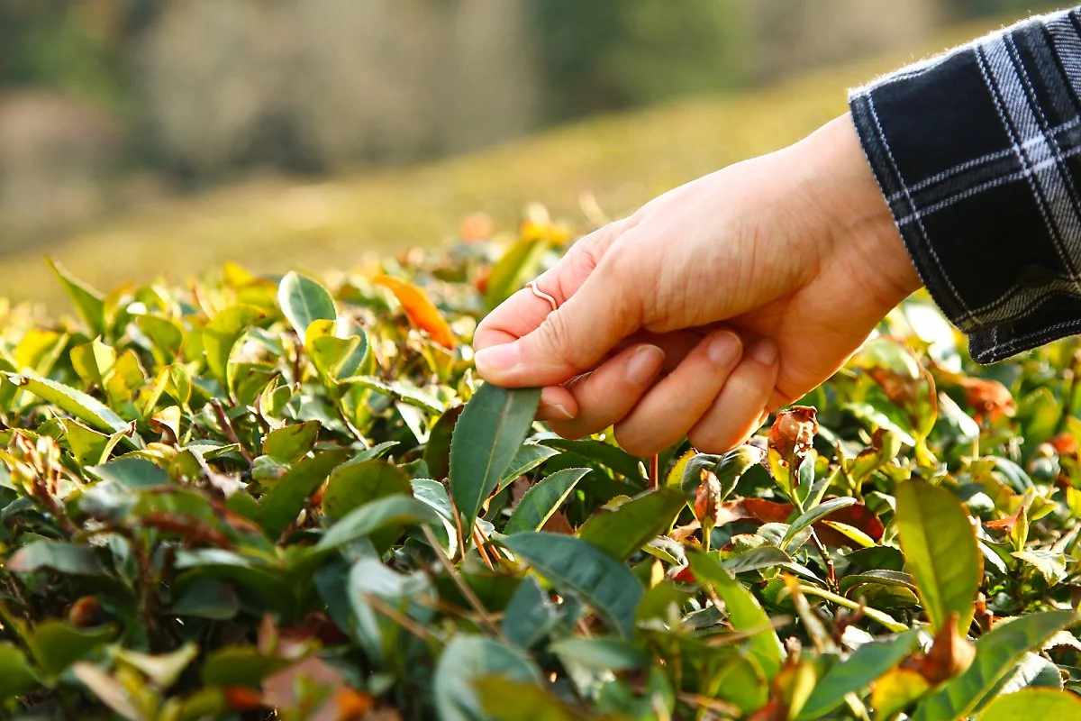 %EB%8C%80%ED%95%9C%EB%8B%A4%EC%9B%90_%2810%29.jpg?type=w1200