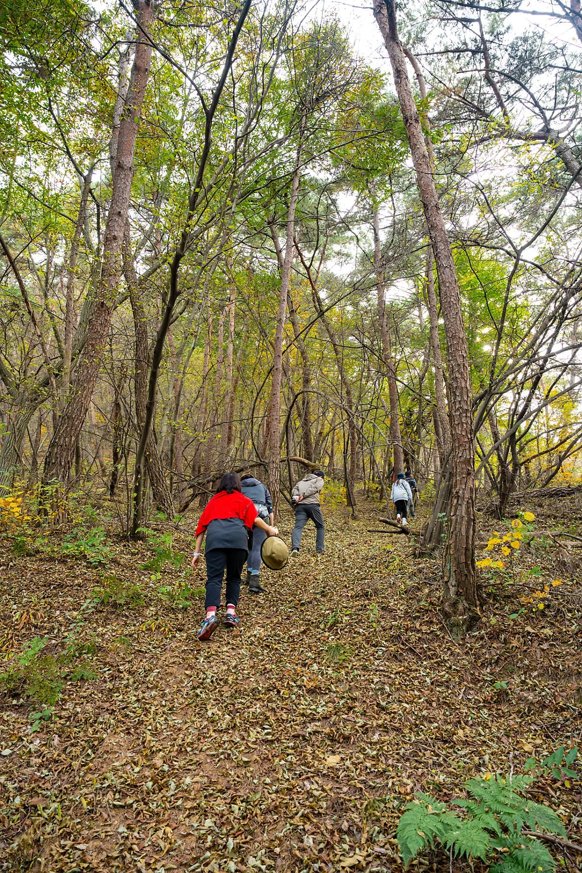 %EA%B5%90%EB%A3%A1%EC%82%B0%EB%91%98%EB%A0%88%EA%B8%B8_%281%29.jpg?type=w1200