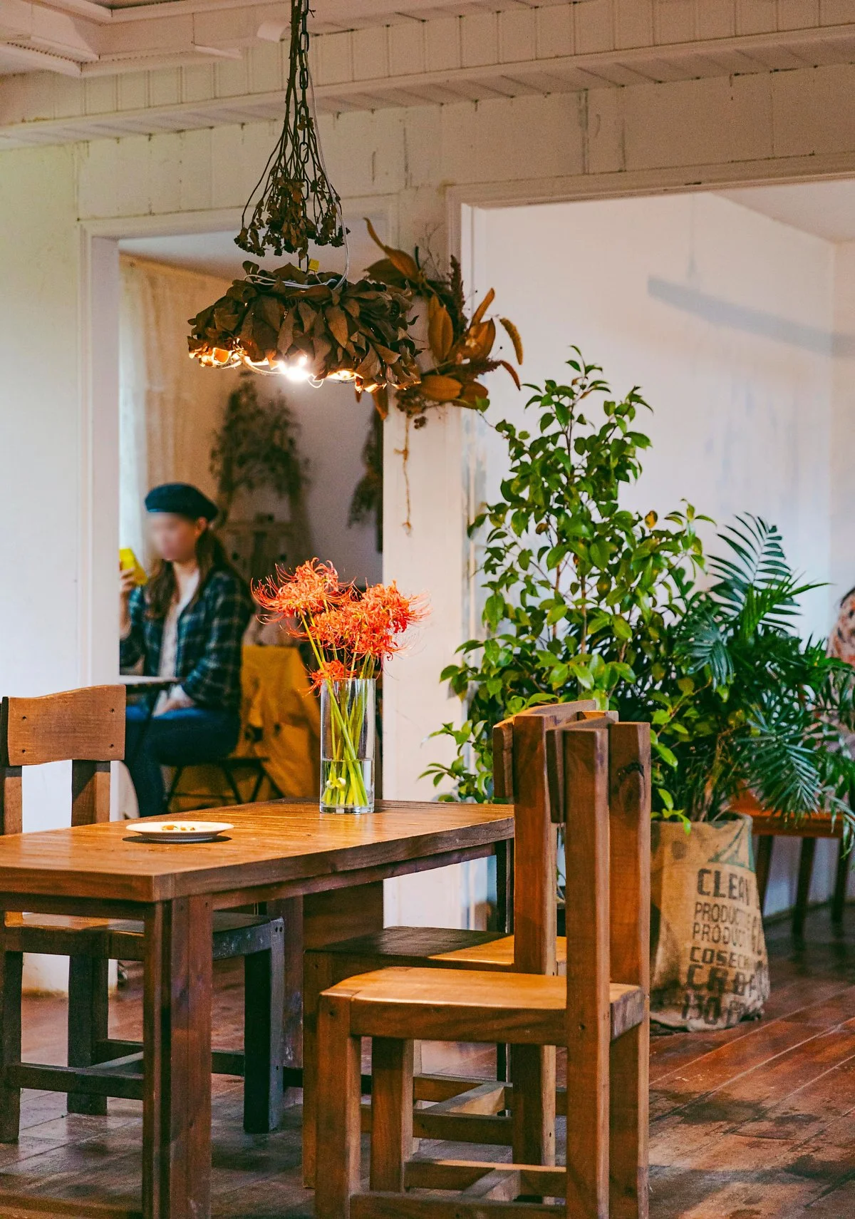 image_4249910201633592435960.jpg?type=w1200