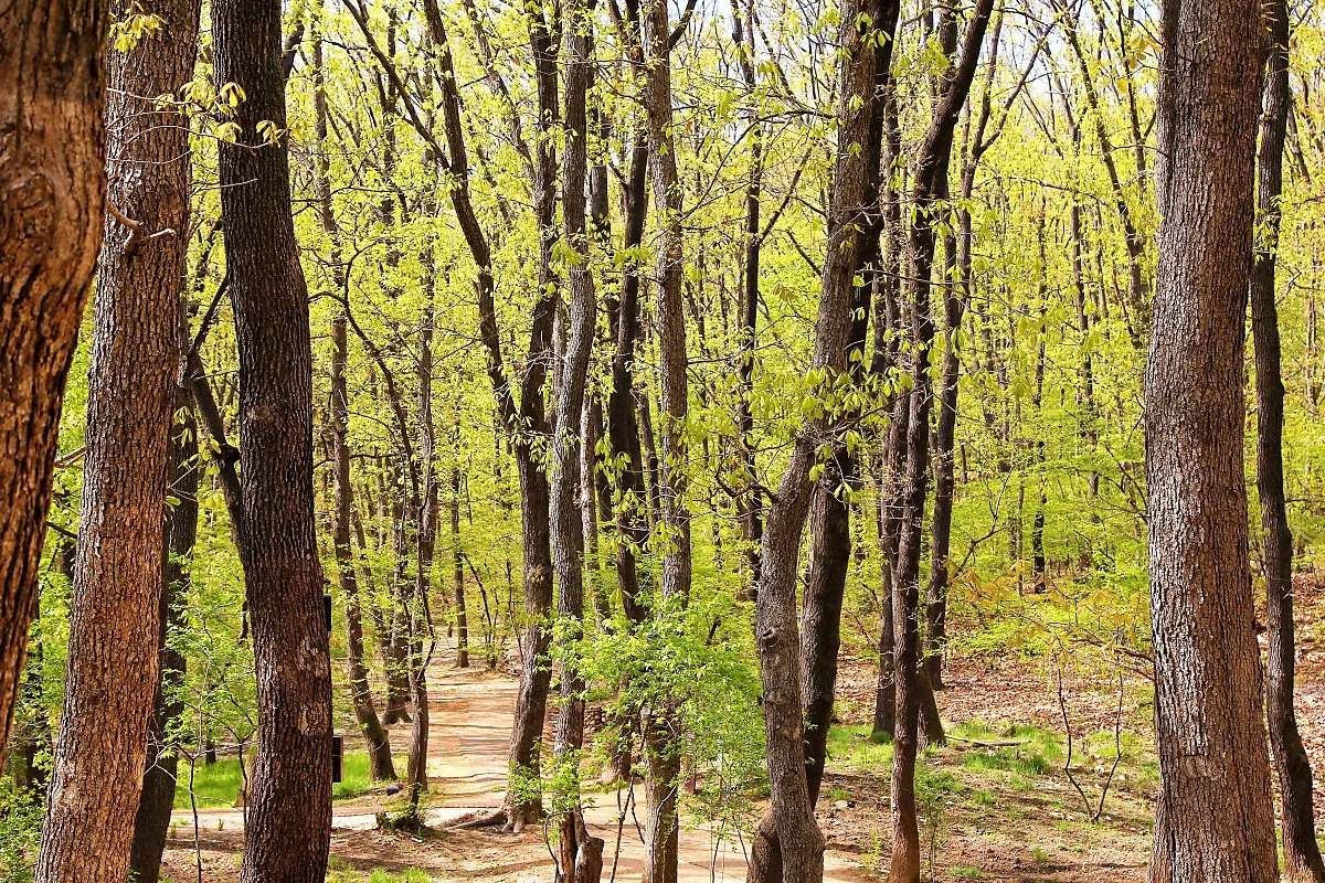 02%ED%8C%8C%EC%A3%BC%EC%9E%A5%EB%A6%89_%284%29.JPG?type=w1200