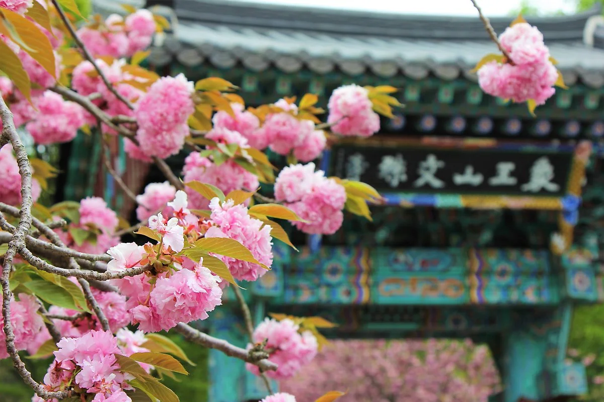 02%EB%AC%B8%EC%88%98%EC%82%AC_%282%29.JPG?type=w1200