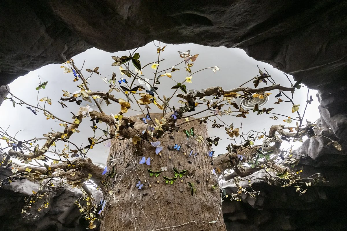 %EB%AC%B4%EC%A3%BC%EB%B0%98%EB%94%94%EB%9E%9C%EB%93%9C_%EA%B3%A4%EC%B6%A9%EB%B0%95%EB%AC%BC%EA%B4%80_%2811%29.jpg?type=w1200