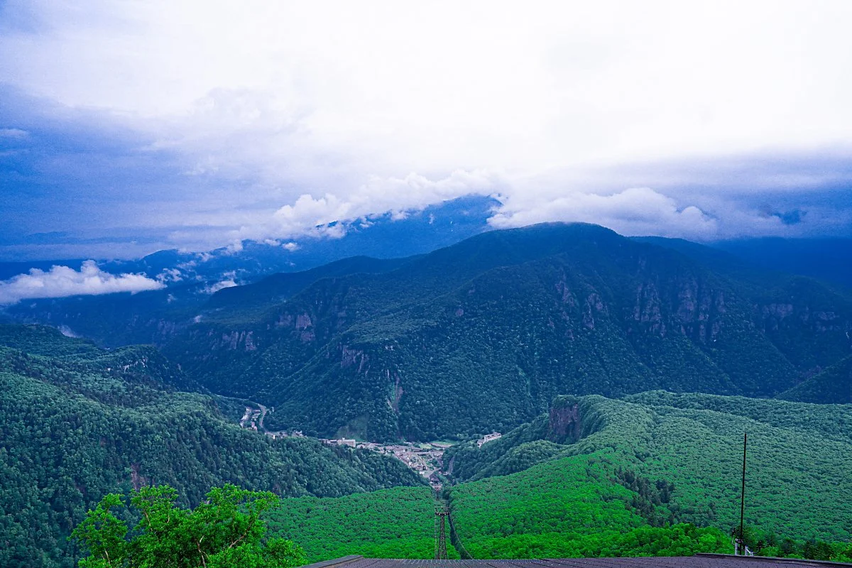 %EB%8B%A4%EC%9D%B4%EC%84%B8%EC%93%B0_%EB%A1%9C%ED%94%84%EC%9B%A8%EC%9D%B4_%282%29_-_%EC%B6%94%EC%B2%9C.jpg?type=w1200