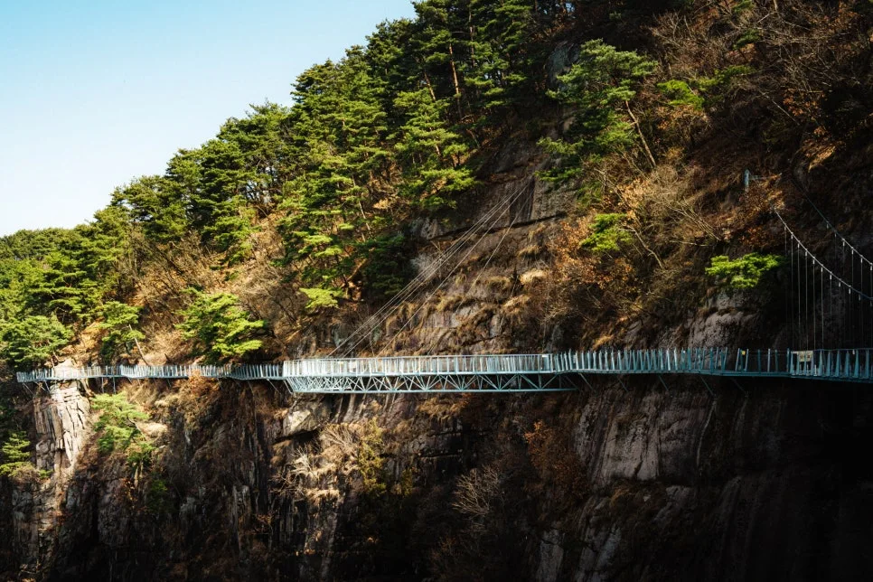 %EC%B2%A0%EC%9B%90-1.jpg?type=w966