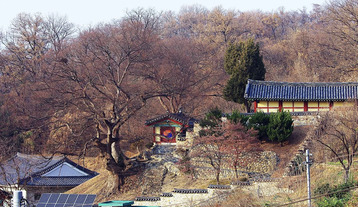 %EB%8C%80%EC%84%B1%EB%8F%99_%EA%BC%AD%EB%8C%80%EA%B8%B0%EC%97%90%EC%84%9C_%EB%B3%B8_%EC%B2%AD%EC%A3%BC_%ED%96%A5%EA%B5%90.JPG?type=w1200