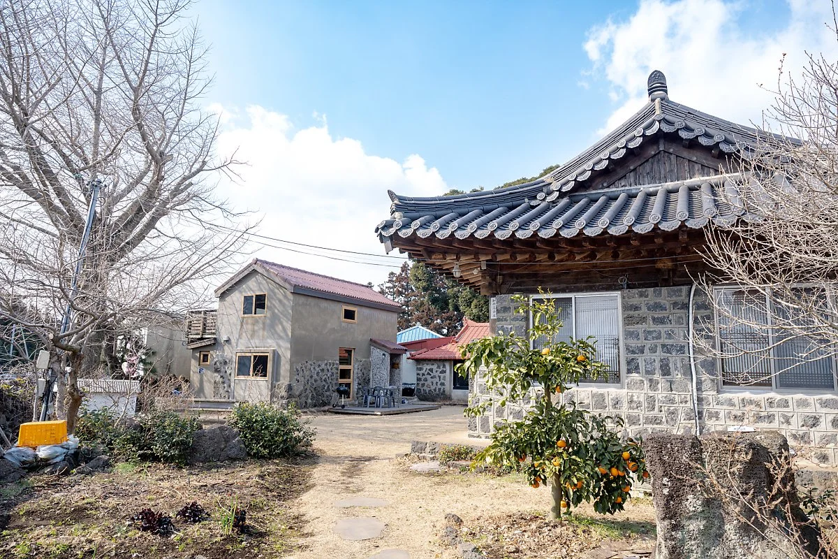 %EC%8B%A0%ED%92%8D%EB%A6%AC_%ED%95%98%EC%9D%B4%EC%9E%AC_%2811%29.jpg?type=w1200