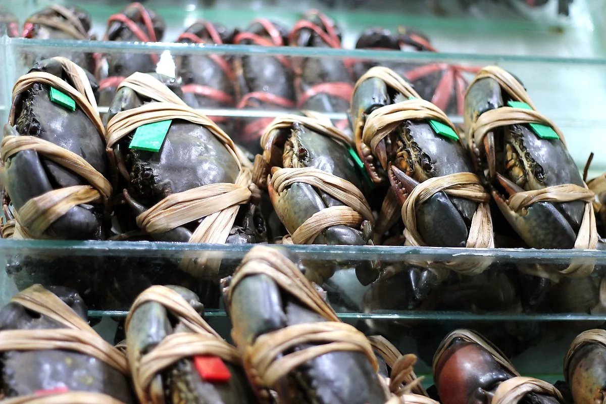 02%EA%BD%9D_%EC%94%A8%ED%91%B8%EB%93%9C_%282%29.JPG?type=w1200