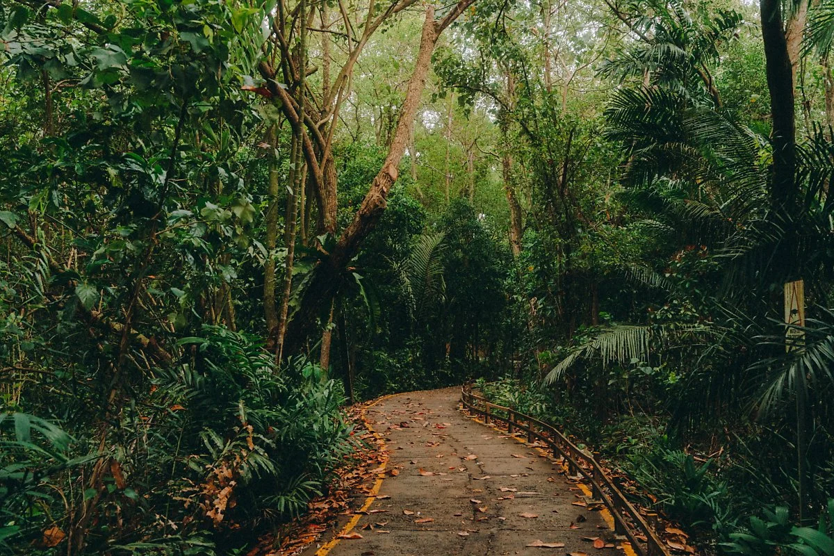 %EC%88%AD%EA%B2%8C%EC%9D%B4_%EB%B6%80%EB%A1%9C_%EC%8A%B5%EC%A7%80_%EB%B3%B4%EC%A1%B4%EC%A7%80_%2826%29.jpg?type=w1200