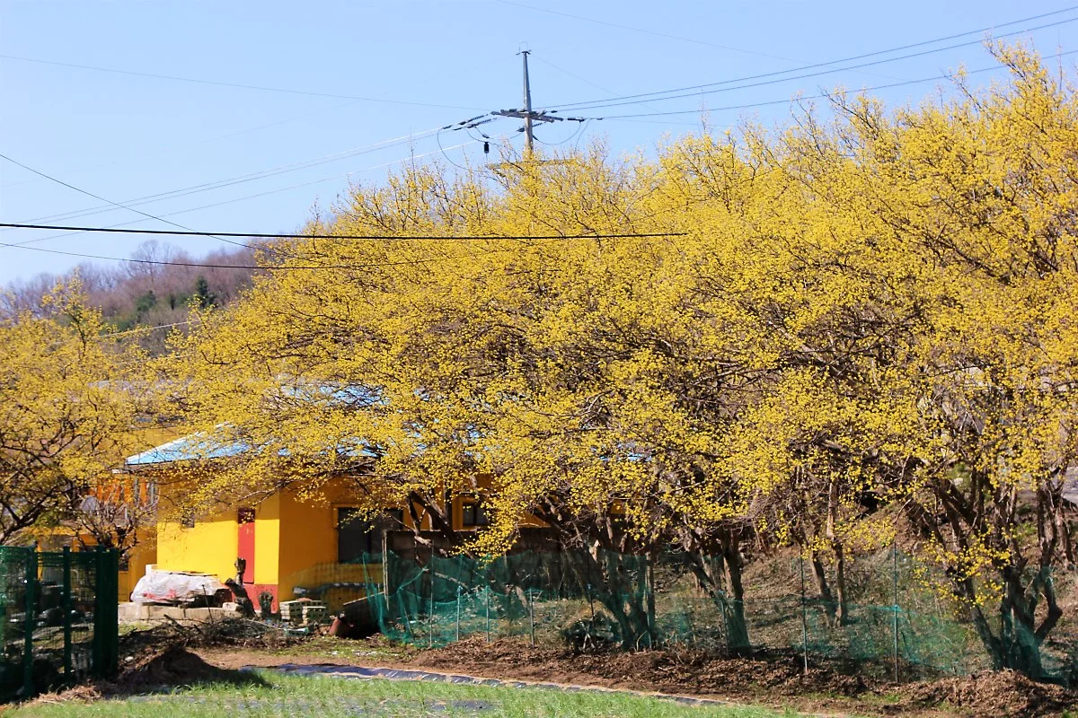 02%EC%96%91%ED%8F%89%EC%82%B0%EC%88%98%EC%9C%A0%EB%A7%88%EC%9D%84_%281%29.JPG?type=w1200