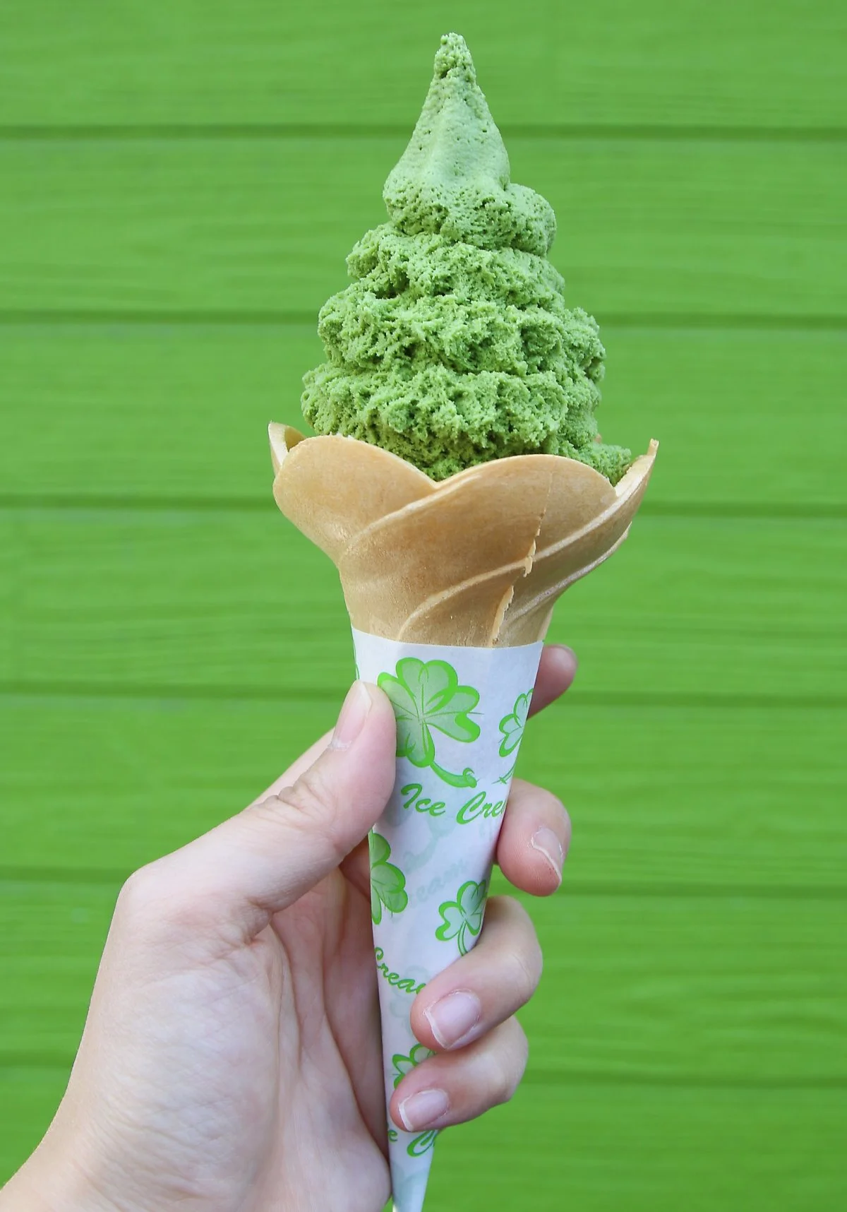 image_8832174171539739760361.jpg?type=w1200