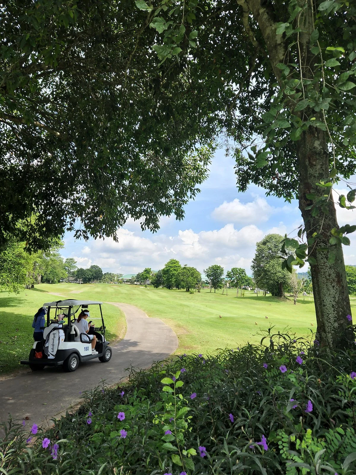 %ED%8C%8C%ED%83%80%EB%82%98CC_%2830%29.jpg?type=w1200