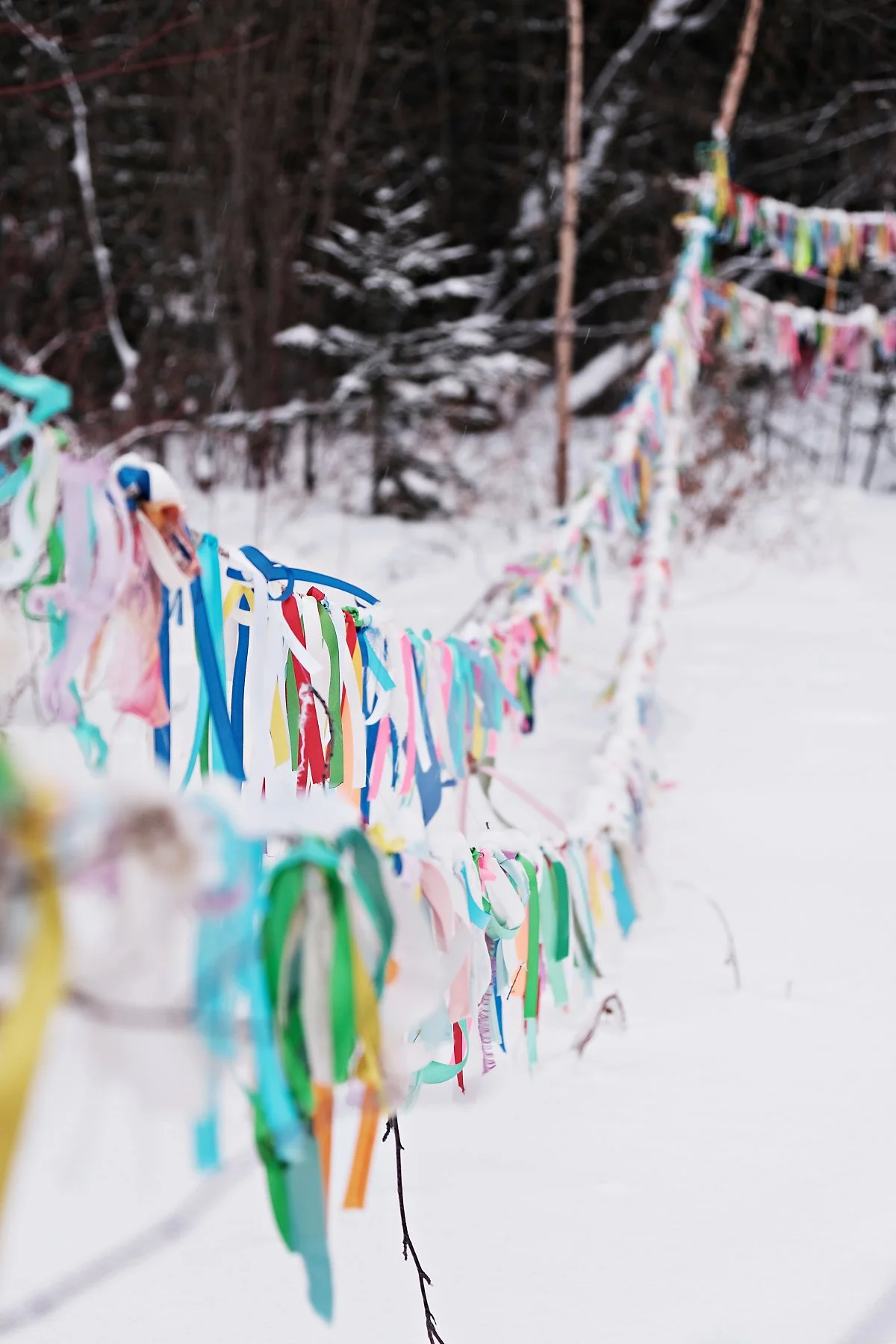 %EC%A3%BC%EC%88%A0%EC%82%AC%EC%9D%98_%EC%9D%98%EC%8B%9D_%EB%A6%AC%EB%B3%B8.JPG?type=w1200