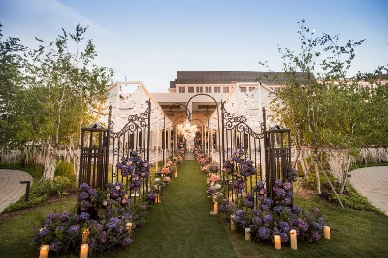 %EA%B5%AD%EB%82%B4_%ED%97%88%EB%8B%88%EB%AC%B8_%28c%29_%ED%8C%8C%EB%9D%BC%EB%8B%A4%EC%9D%B4%EC%8A%A4_%EC%8B%9C%ED%8B%B0.jpg?type=w1200