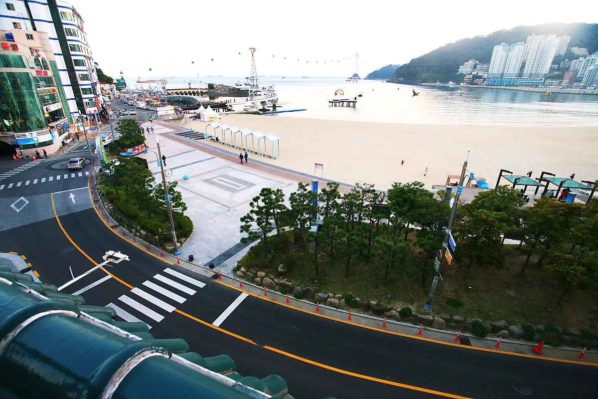 %EC%98%90%EB%A1%9C%EC%86%A1%EB%8F%84%EB%B9%84%EC%B9%98_%2813%29.jpg?type=w1200