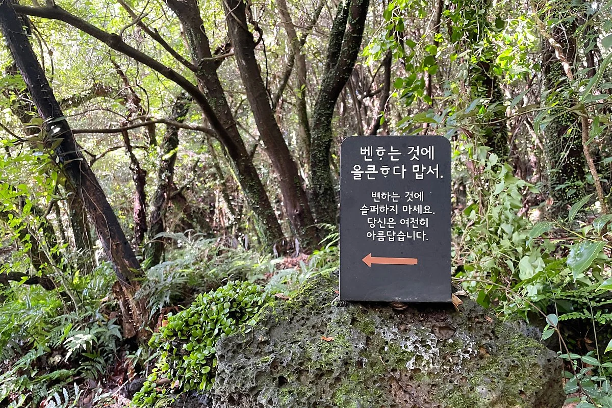 %ED%99%98%EC%83%81%EC%88%B2_%288%29.JPG?type=w1200