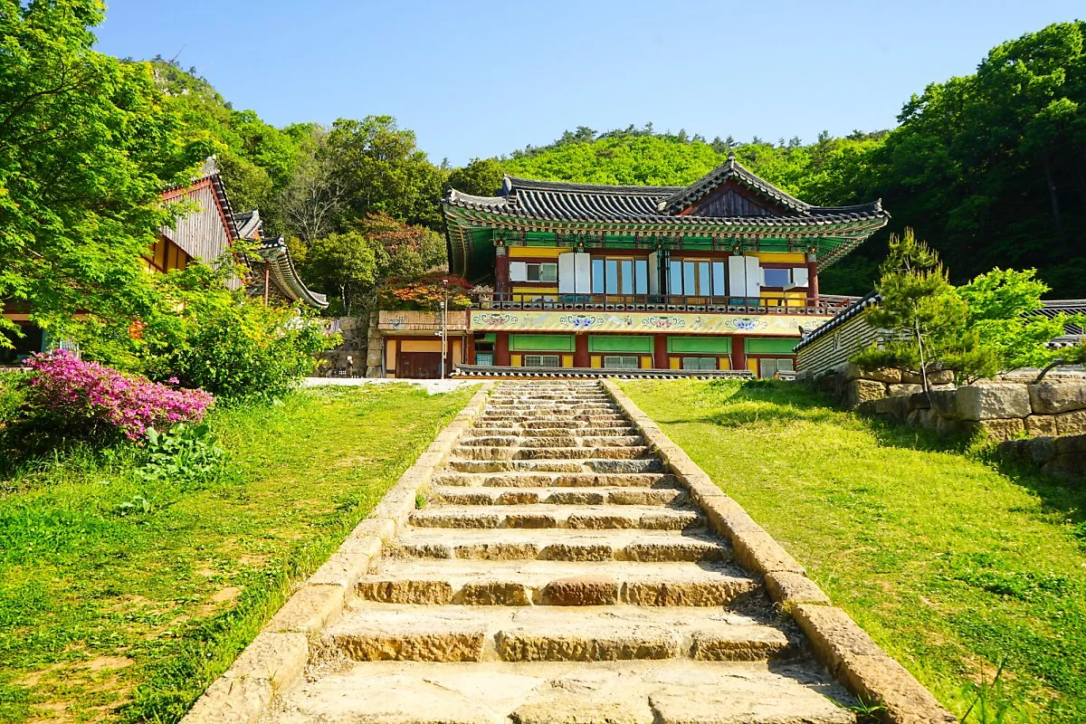 %EB%B0%B1%EB%A0%A8%EC%82%AC_%285%29.JPG?type=w1200